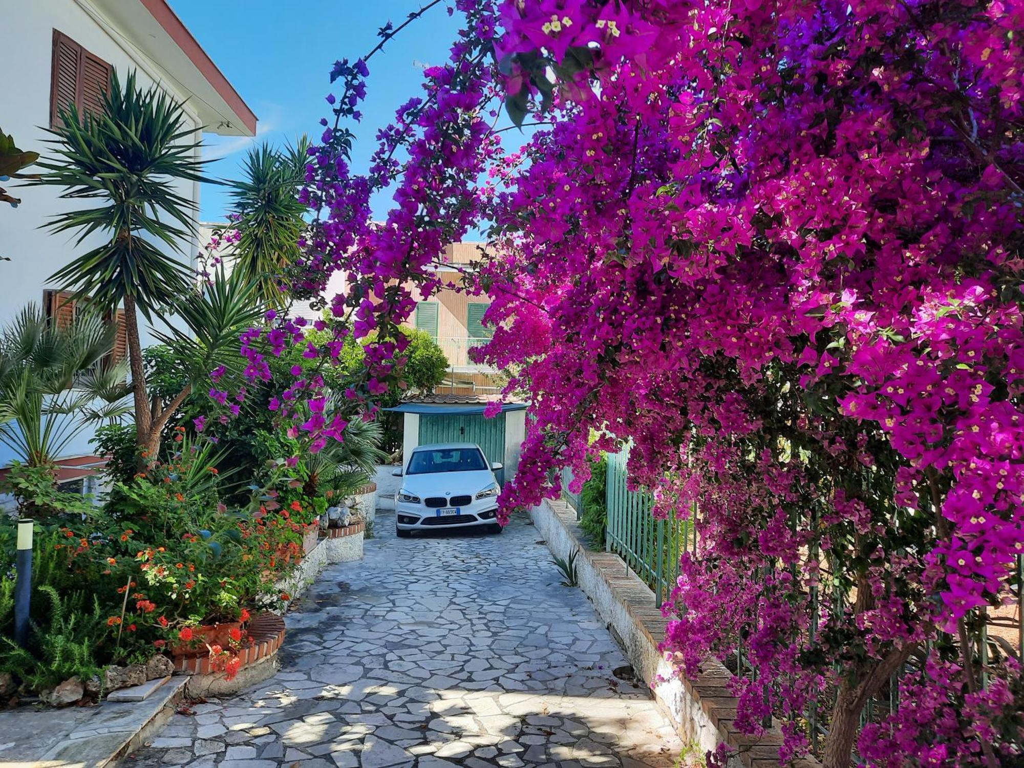 Hébergement de vacances Residenza Nisio *